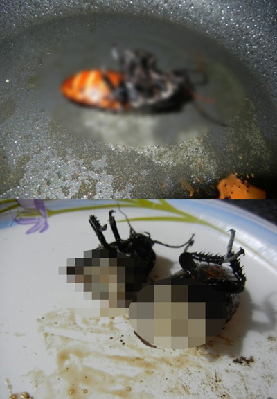 바퀴벌레 시식남, "바퀴는 새우맛" | 인스티즈