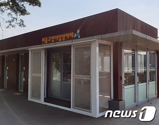 사진 서울시가 운영 예정인 고양이입양카페 © 뉴스1