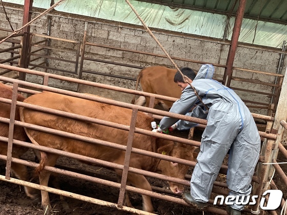 광주시 접종지원자료사진 2023.11.10/뉴스1 ⓒ News1 박준배 기자