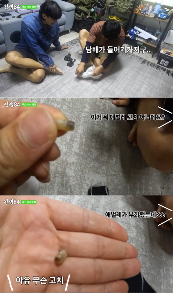 기안84의 양말에서 나온 정체불명의 쓰레기(?) / 이하 유튜브 '인생84'