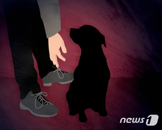 뉴스1 방은영 디자이너