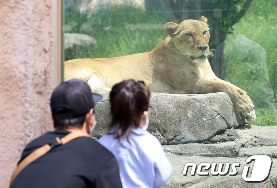 황금연휴 나흘째인 3일 오후 서울 광진구 어린이대공원을 찾은 시민들이 동물원을 관람하고 있다. 신종 코로나바이러스 감염증(코로나19)으로 임시휴장을 유지해온 어린이대공원 놀이동산은 지난달 29일부터 제한적으로 재개했다