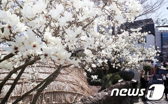 뉴스1